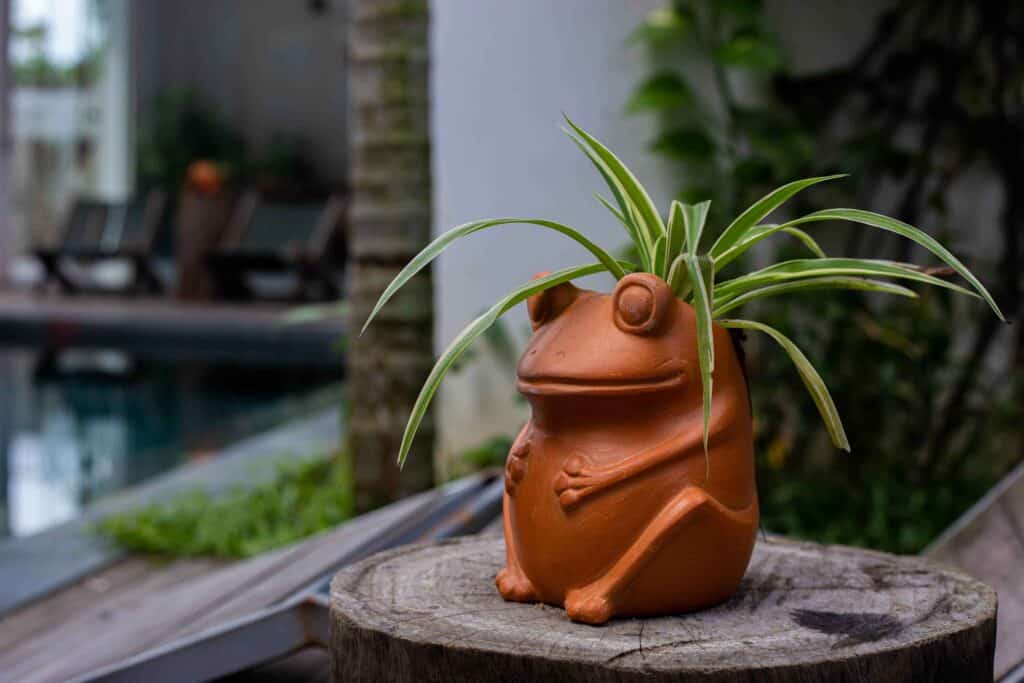 ALBUM ẢNH 12 IMG 6032