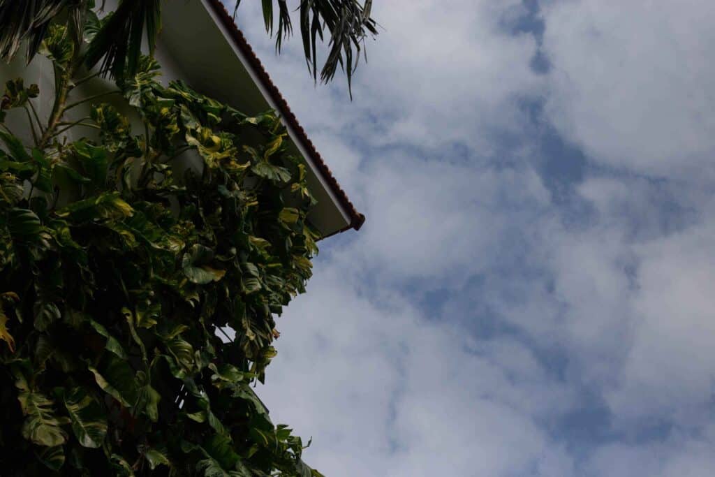 ALBUM ẢNH 10 IMG 6054
