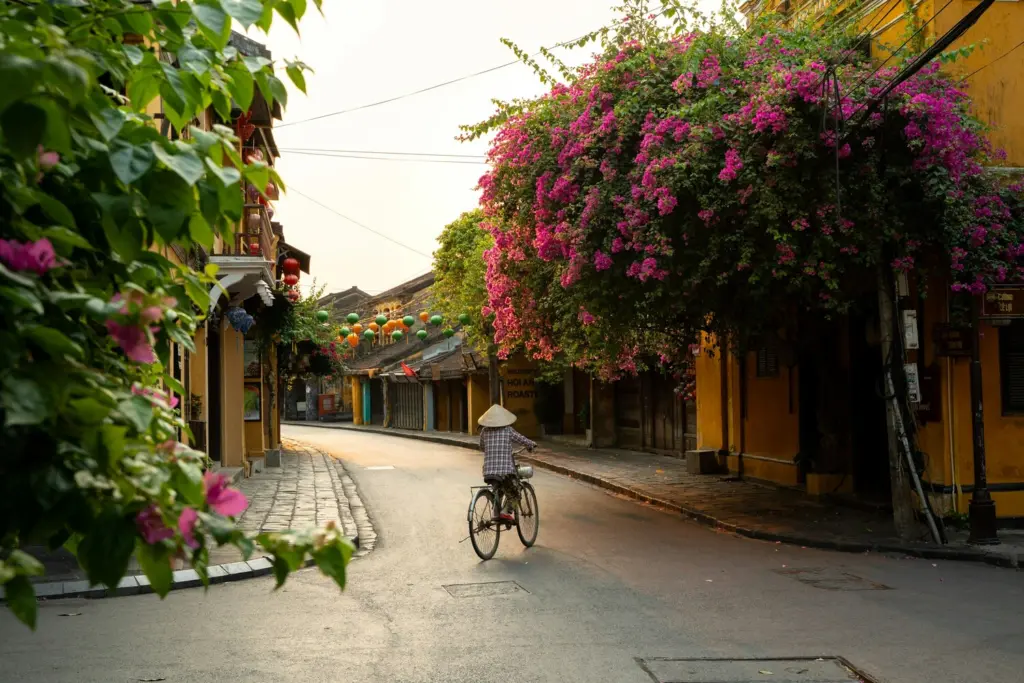 Phố cổ Hội An ngày nắng đẹp, hoa giấy nở rộ trên con phố vắng