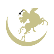 fgv logo